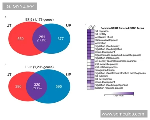 数据分析揭示WE团队成员心理素质的多维表现与影响因素探讨
