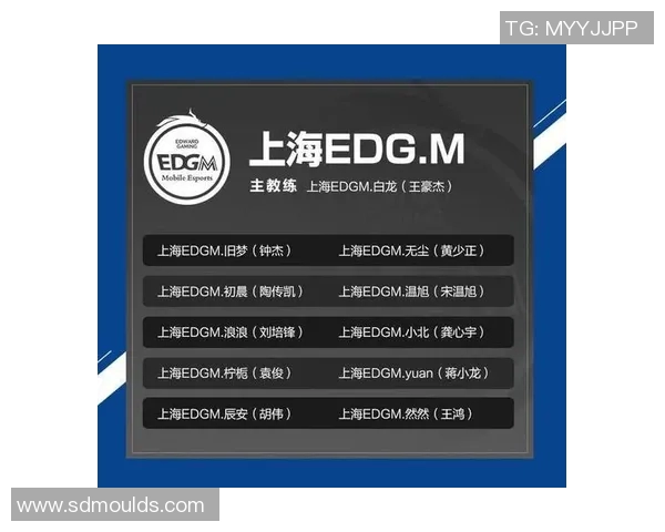 王者荣耀战术解析：TES盯防策略的深度剖析与实战应用