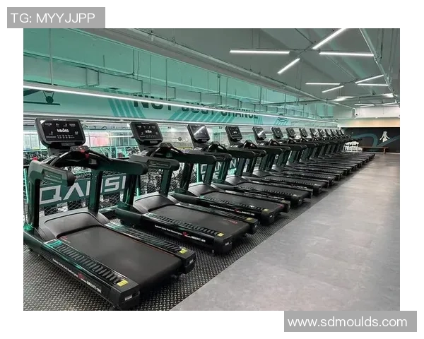 黑龙江健身房专用器材配置方案