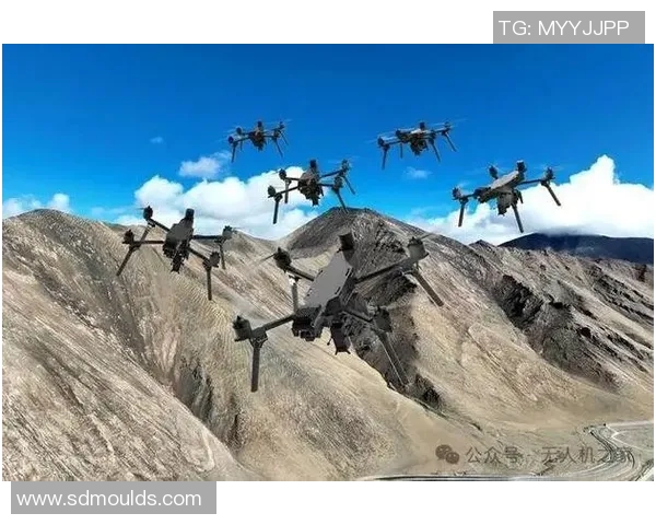 重磅专题:探秘北京飞盘队的盯防策略与战术创新之路