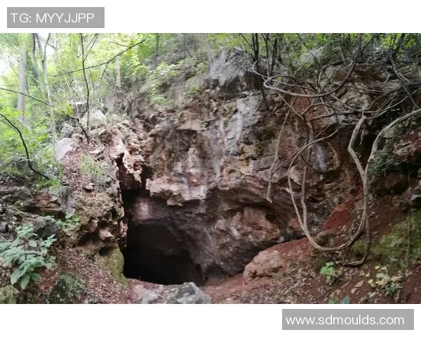 赵娜的攀岩人生：在高峰之上与自我的深度对话与探索